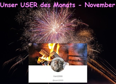 User des Monats November 2020